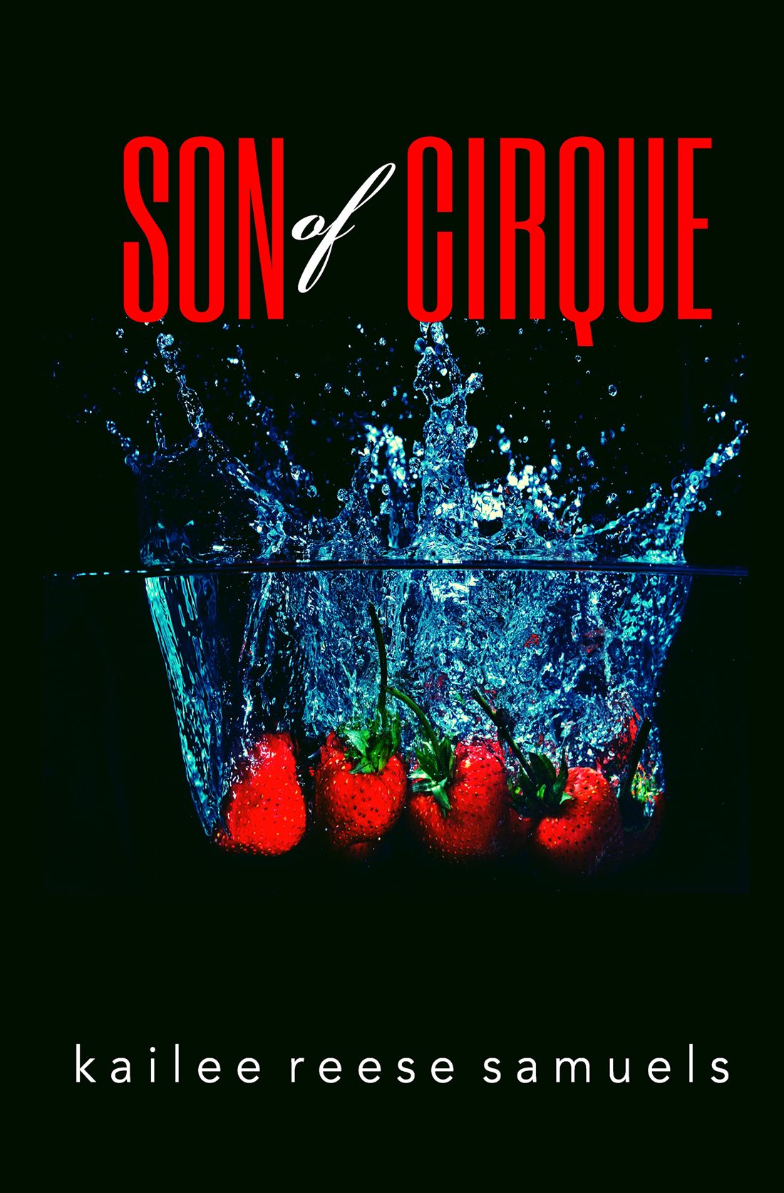 Son of Cirque cover