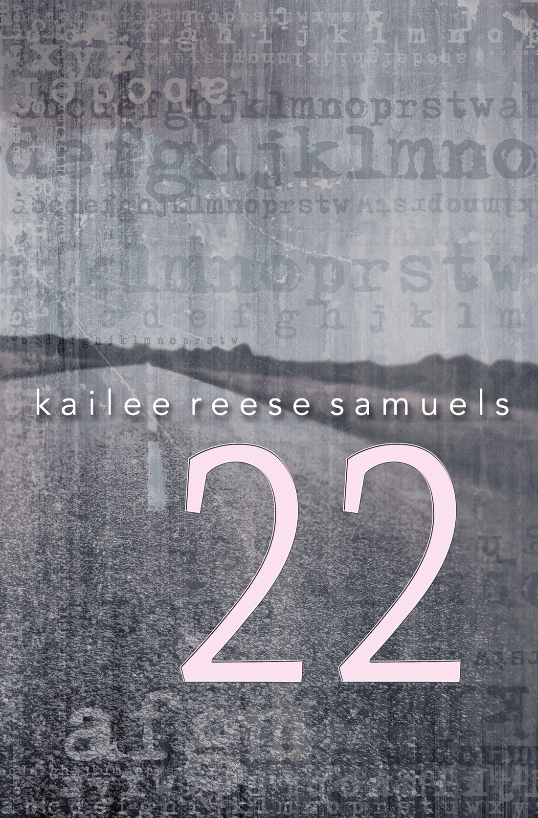 22 cover