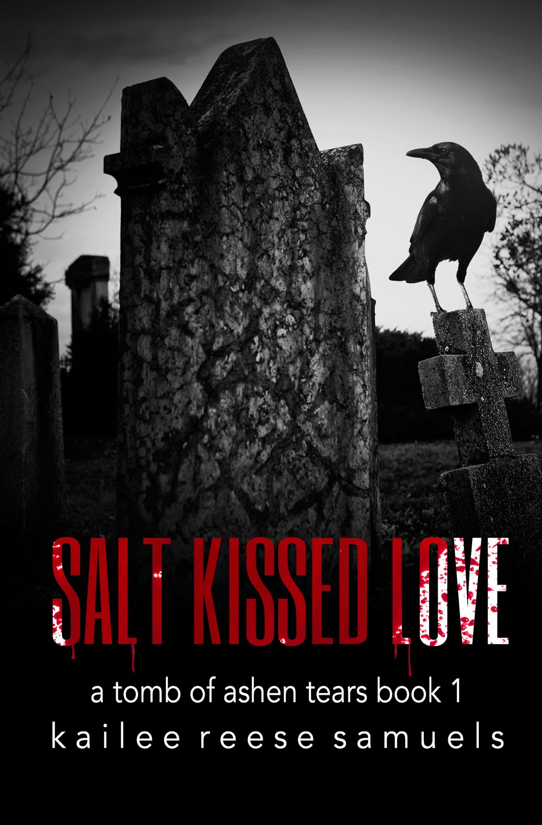 Salt Kissed Love cover
